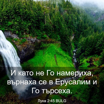 Picture 03 - Лука 2:45 BULG - И като не Го намериха, - Bible Verse Picture