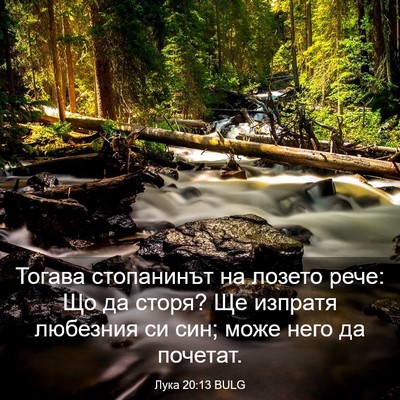 Picture 03 - Лука 20:13 BULG - Тогава стопанинът на - Bible Verse Picture