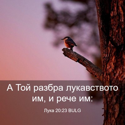Picture 03 - Лука 20:23 BULG - А Той разбра лукавството - Bible Verse Picture