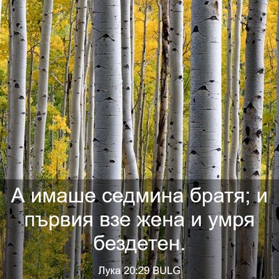 Picture 03 - Лука 20:29 BULG - А имаше седмина братя; и - Bible Verse Picture