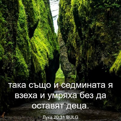 Picture 03 - Лука 20:31 BULG - така също и седмината я - Bible Verse Picture
