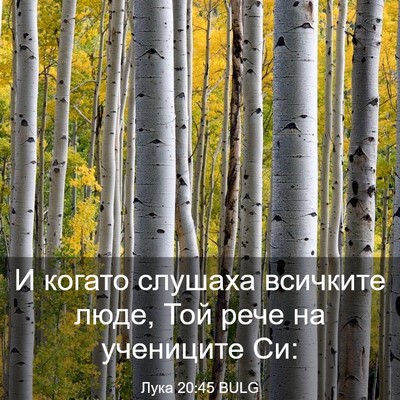Picture 03 - Лука 20:45 BULG - И когато слушаха всичките - Bible Verse Picture