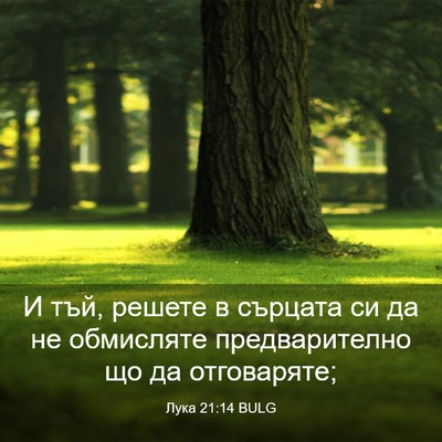 Picture 03 - Лука 21:14 BULG - И тъй, решете в сърцата си - Bible Verse Picture