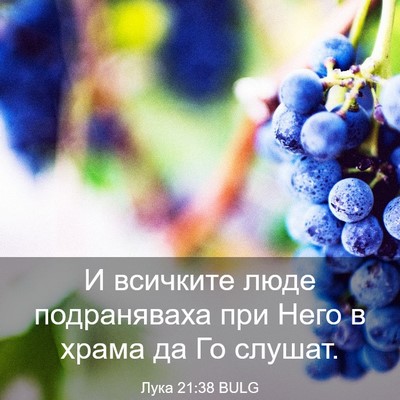 Picture 03 - Лука 21:38 BULG - И всичките люде - Bible Verse Picture
