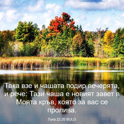 Picture 03 - Лука 22:20 BULG - Така взе и чашата подир - Bible Verse Picture