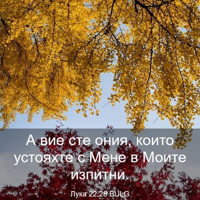 Picture 03 - Лука 22:28 BULG - А вие сте ония, които - Bible Verse Picture