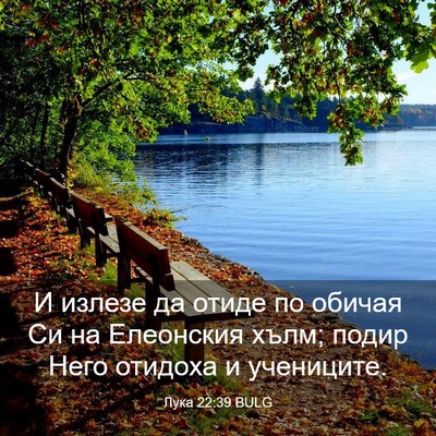 Picture 03 - Лука 22:39 BULG - И излезе да отиде по обичая - Bible Verse Picture