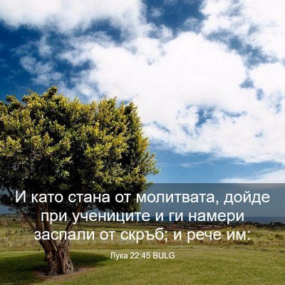 Picture 03 - Лука 22:45 BULG - И като стана от молитвата, - Bible Verse Picture