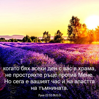 Picture 03 - Лука 22:53 BULG - когато бях всеки ден с вас - Bible Verse Picture