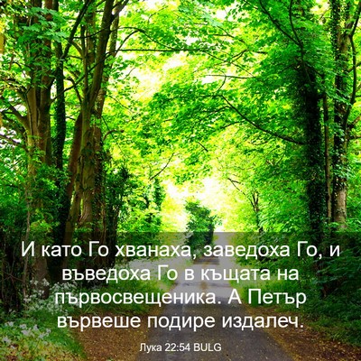 Picture 03 - Лука 22:54 BULG - И като Го хванаха, заведоха - Bible Verse Picture