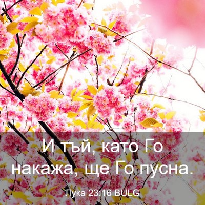 Picture 03 - Лука 23:16 BULG - И тъй, като Го накажа, ще Го - Bible Verse Picture