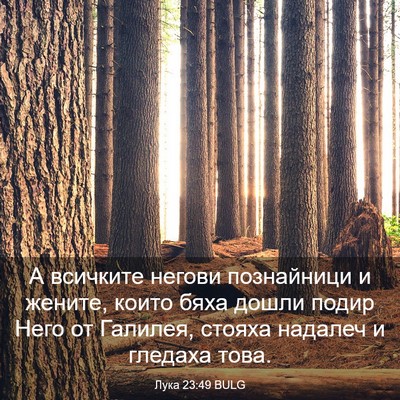 Picture 03 - Лука 23:49 BULG - А всичките негови - Bible Verse Picture