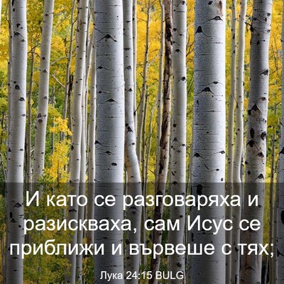 Picture 03 - Лука 24:15 BULG - И като се разговаряха и - Bible Verse Picture