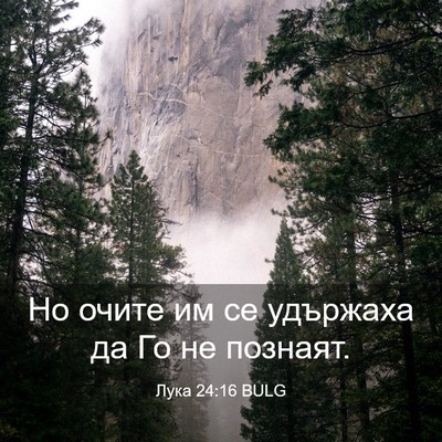 Picture 03 - Лука 24:16 BULG - Но очите им се удържаха да - Bible Verse Picture