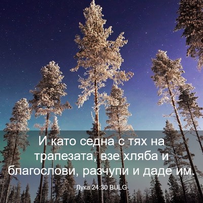 Picture 03 - Лука 24:30 BULG - И като седна с тях на - Bible Verse Picture