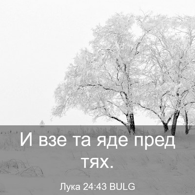 Picture 03 - Лука 24:43 BULG - И взе та яде пред - Bible Verse Picture