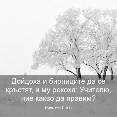 Picture 03 - Лука 3:12 BULG - Дойдоха и бирниците да се - Bible Verse Picture