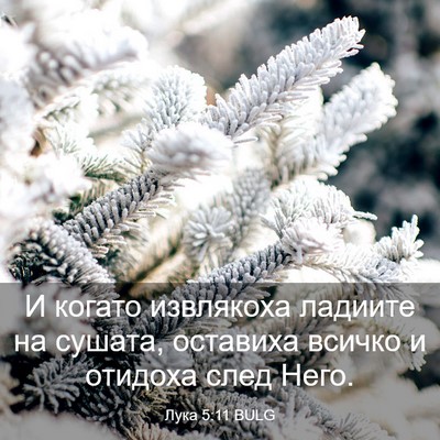 Picture 03 - Лука 5:11 BULG - И когато извлякоха ладиите - Bible Verse Picture