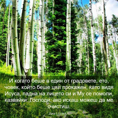 Picture 03 - Лука 5:12 BULG - И когато беше в един от - Bible Verse Picture