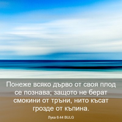 Picture 03 - Лука 6:44 BULG - Понеже всяко дърво от своя - Bible Verse Picture
