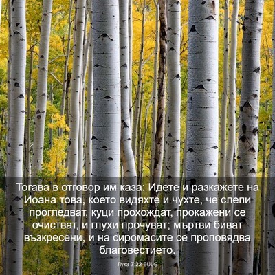 Picture 03 - Лука 7:22 BULG - Тогава в отговор им каза: - Bible Verse Picture