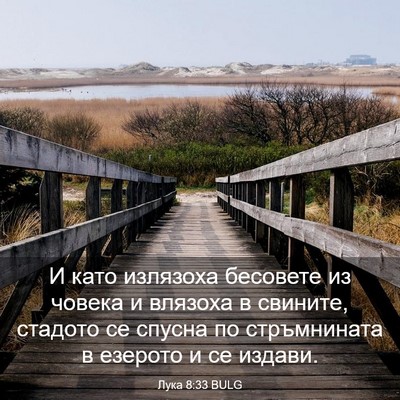 Picture 03 - Лука 8:33 BULG - И като излязоха бесовете - Bible Verse Picture