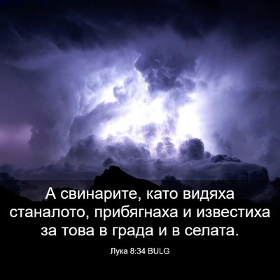 Picture 03 - Лука 8:34 BULG - А свинарите, като видяха - Bible Verse Picture