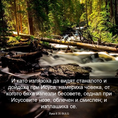Picture 03 - Лука 8:35 BULG - И като излязоха да видят - Bible Verse Picture