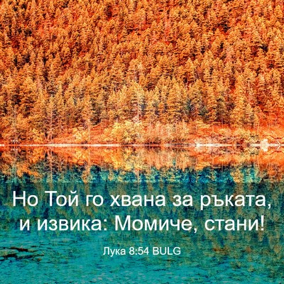 Picture 03 - Лука 8:54 BULG - Но Той го хвана за ръката, и - Bible Verse Picture
