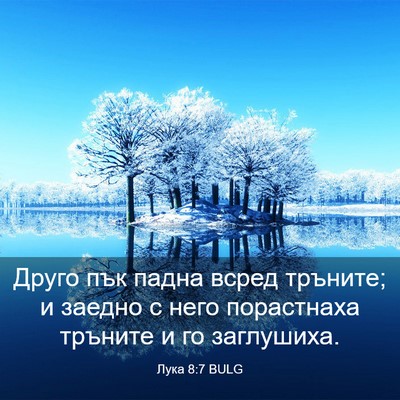 Picture 03 - Лука 8:7 BULG - Друго пък падна всред - Bible Verse Picture