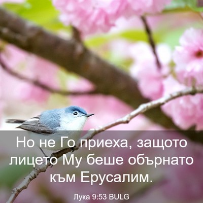 Picture 03 - Лука 9:53 BULG - Но не Го приеха, защото - Bible Verse Picture