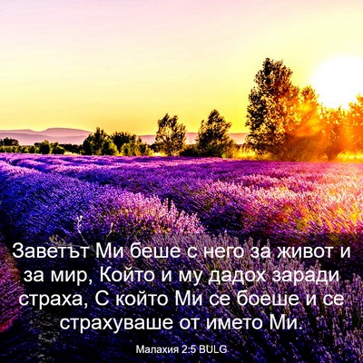 Picture 03 - Малахия 2:5 BULG - Заветът Ми беше с него за - Bible Verse Picture