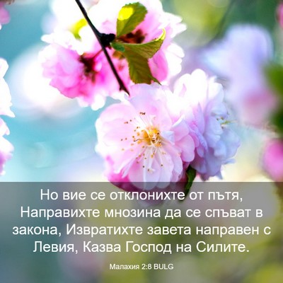 Picture 03 - Малахия 2:8 BULG - Но вие се отклонихте от - Bible Verse Picture