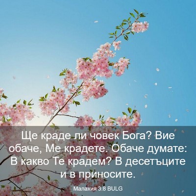 Picture 03 - Малахия 3:8 BULG - Ще краде ли човек Бога? Вие - Bible Verse Picture
