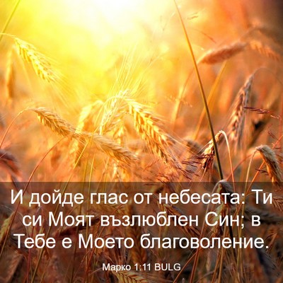 Picture 03 - Марко 1:11 BULG - И дойде глас от небесата: - Bible Verse Picture