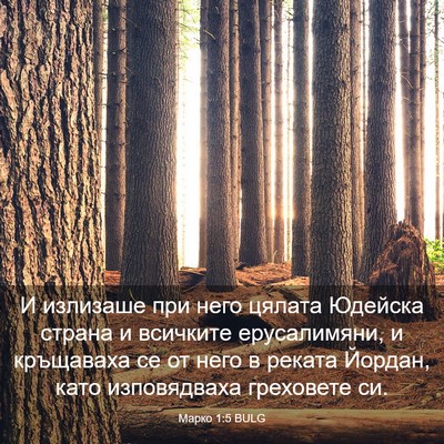 Picture 03 - Марко 1:5 BULG - И излизаше при него цялата - Bible Verse Picture