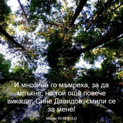 Picture 03 - Марко 10:48 BULG - И мнозина го мъмреха, за да - Bible Verse Picture