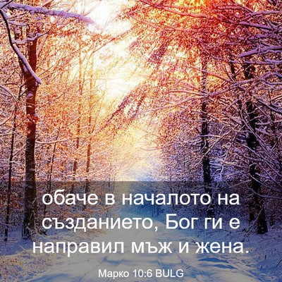 Picture 03 - Марко 10:6 BULG - обаче в началото на - Bible Verse Picture