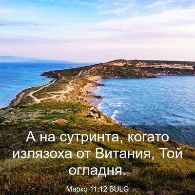 Picture 03 - Марко 11:12 BULG - А на сутринта, когато - Bible Verse Picture