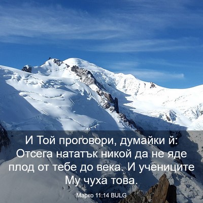 Picture 03 - Марко 11:14 BULG - И Той проговори, думайки й: - Bible Verse Picture