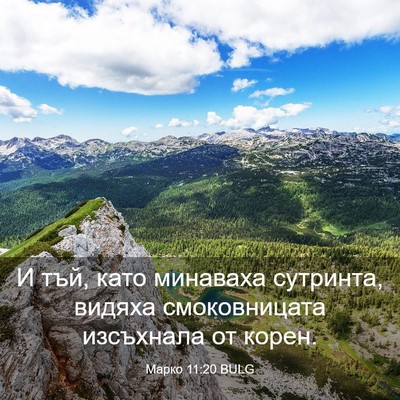 Picture 03 - Марко 11:20 BULG - И тъй, като минаваха - Bible Verse Picture