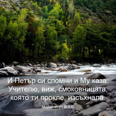 Picture 03 - Марко 11:21 BULG - И Петър си спомни и Му каза: - Bible Verse Picture
