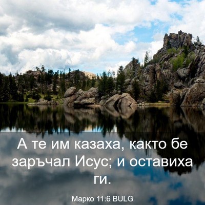 Picture 03 - Марко 11:6 BULG - А те им казаха, както бе - Bible Verse Picture