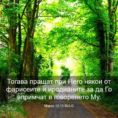 Picture 03 - Марко 12:13 BULG - Тогава пращат при Него - Bible Verse Picture