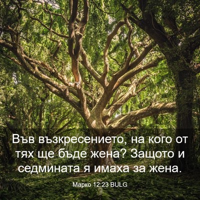 Picture 03 - Марко 12:23 BULG - Във възкресението, на кого - Bible Verse Picture