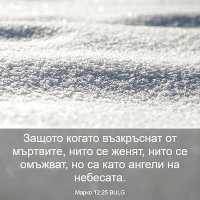 Picture 03 - Марко 12:25 BULG - Защото когато възкръснат - Bible Verse Picture