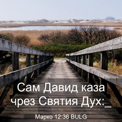 Picture 03 - Марко 12:36 BULG - Сам Давид каза чрез Святия - Bible Verse Picture