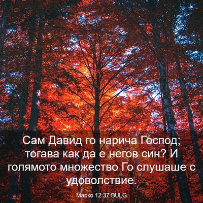 Picture 03 - Марко 12:37 BULG - Сам Давид го нарича Господ; - Bible Verse Picture