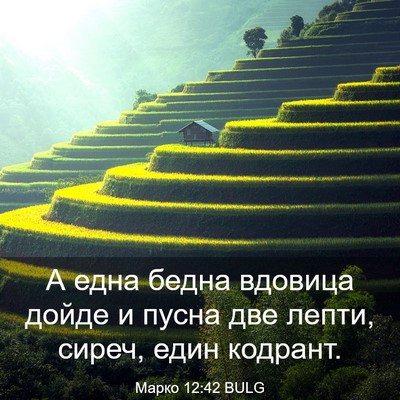 Picture 03 - Марко 12:42 BULG - А една бедна вдовица дойде - Bible Verse Picture