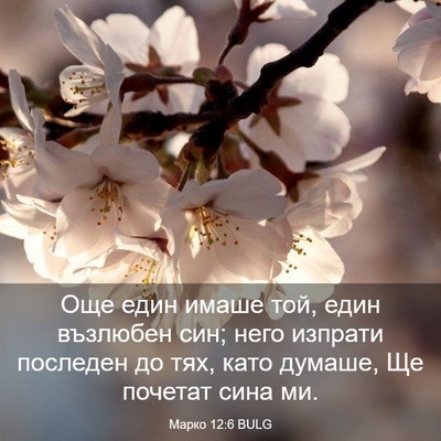 Picture 03 - Марко 12:6 BULG - Още един имаше той, един - Bible Verse Picture